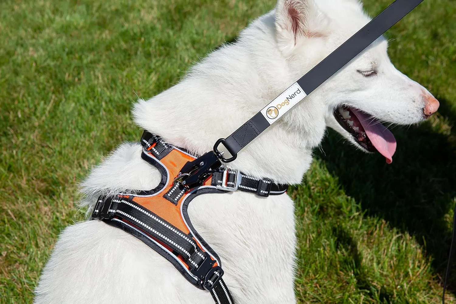 6 FT Silicone Dog Leash for Large Dogs and Medium Dogs That Pull - Waterproof Tactical Heavy Duty Dog Leash with Quick Release/Locking Carabiner, Safety Control Dog Training Leashes (Pink)