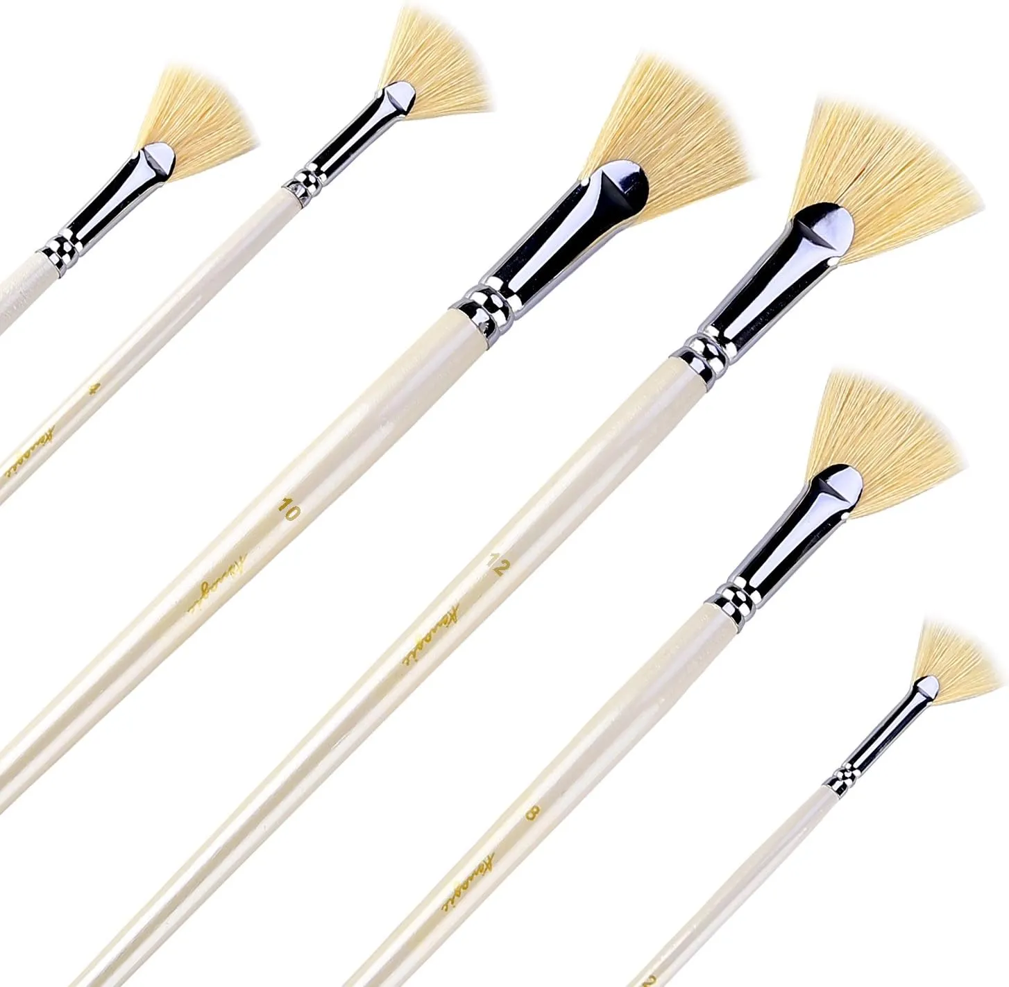 Amagic Fan Brush Set - Hog Bristle Natural Hair - Artist Soft Anti-Shedding Paint Brushes for Acrylic Watercolor Oil Painting, Long Wood Handle with Case, Set of 6