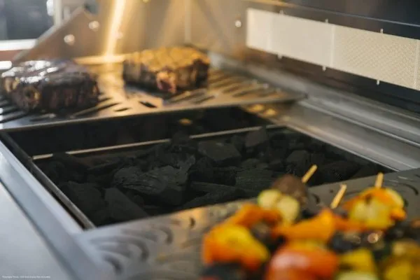 Charcoal Tray for Coyote Grills