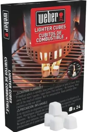 GRILL FIRE STRTR 24PK (3pack)