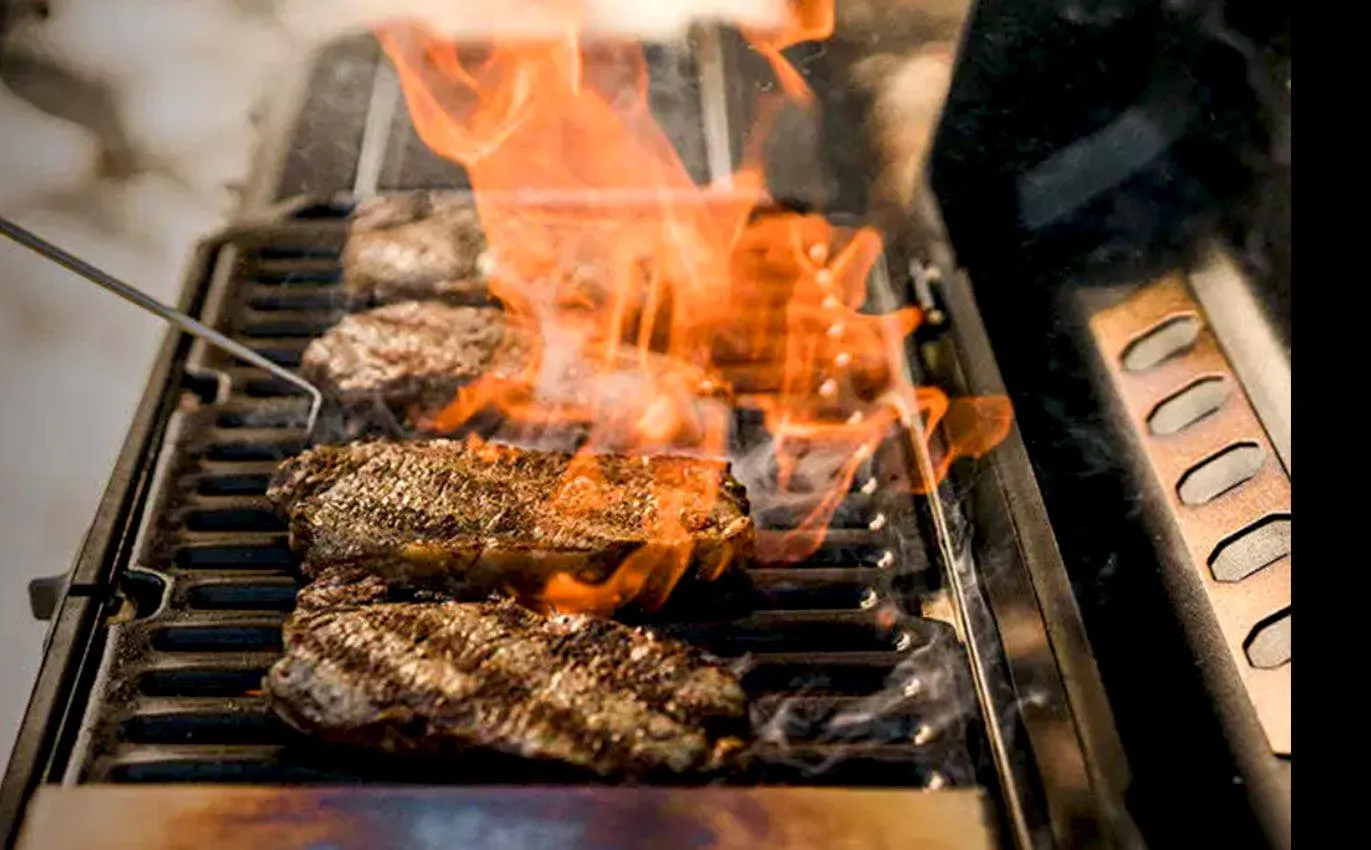 Masterbuilt Portable Charcoal BBQ