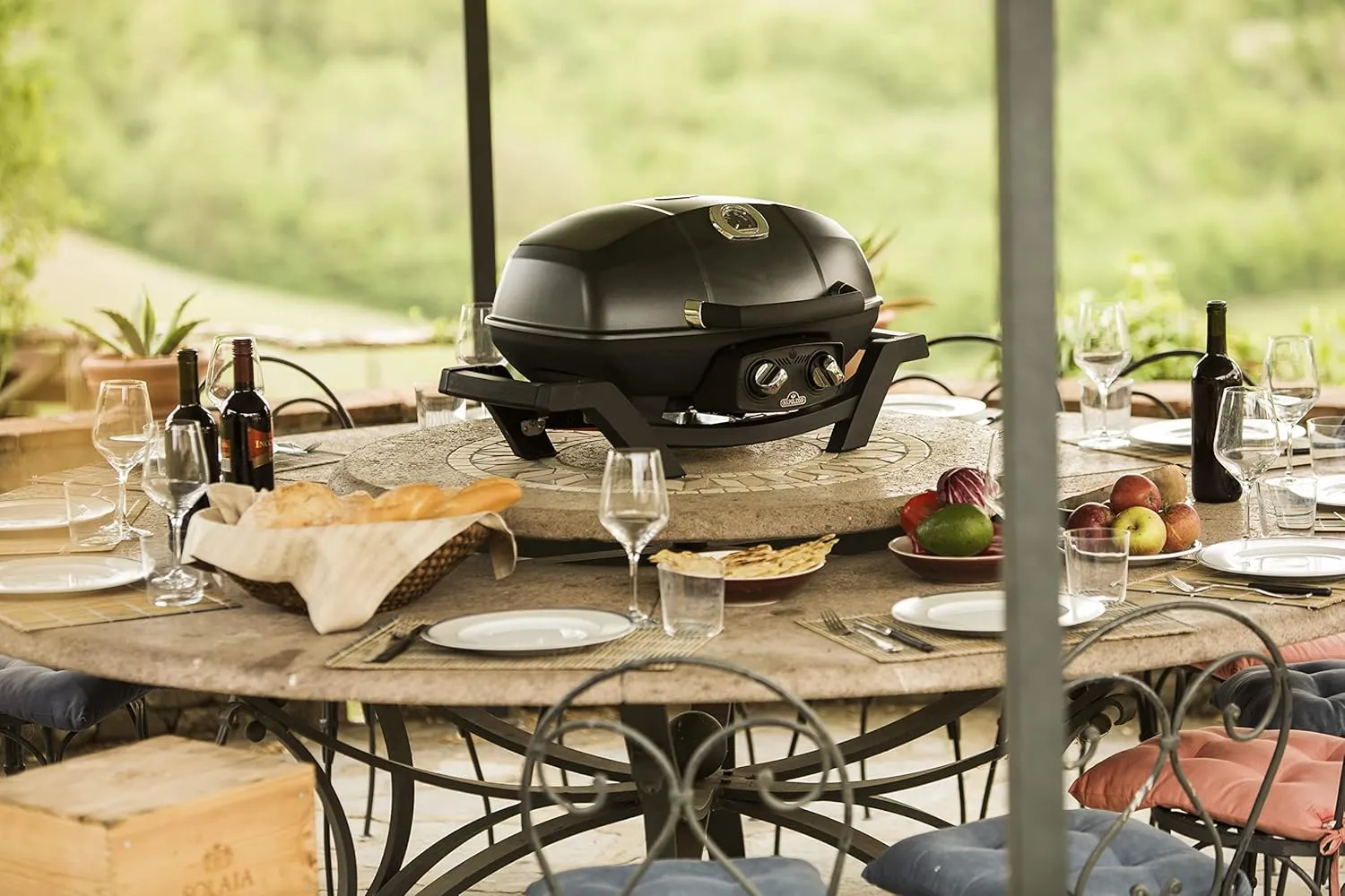 Napoleon PRO285-BK Portable Propane Grill, Black