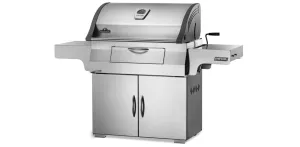 Napoleon Professional Charcoal BBQ