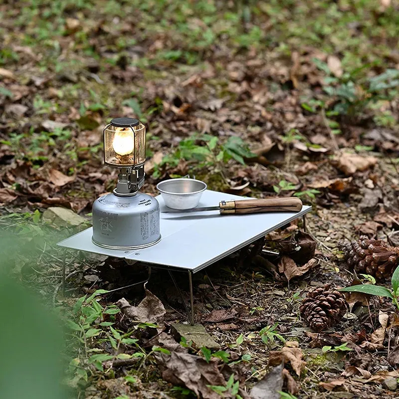 PACOONE Ultralight Mini Folding Camping Table Aluminum Alloy for Outdoor Use