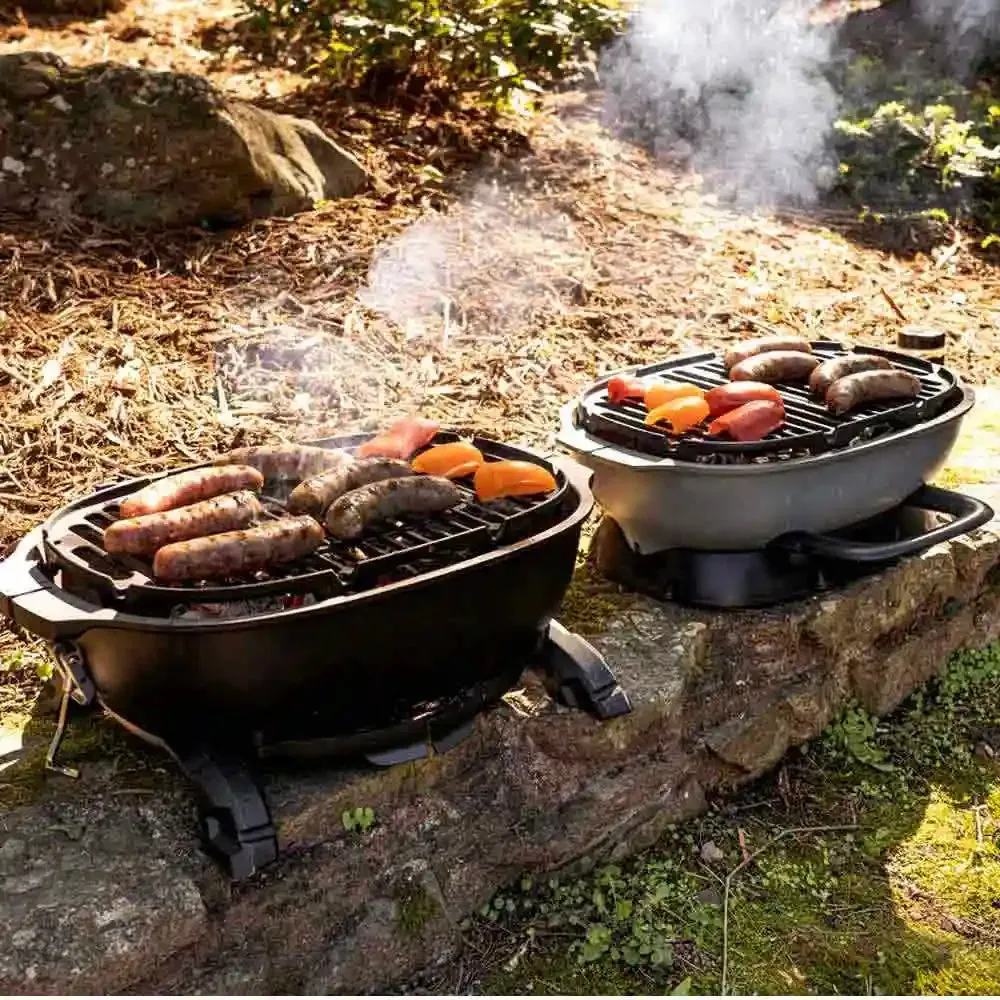 PK Grills PKGO Portable Charcoal BBQ Grill with Flipkit