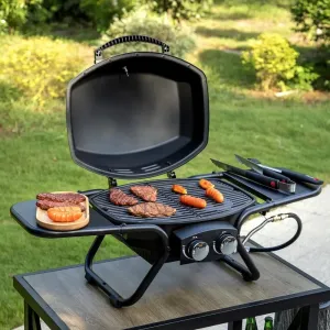 Portable Propane Grill