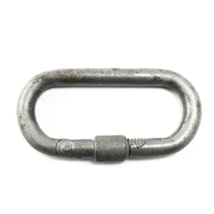 Screwgate Carabiner
