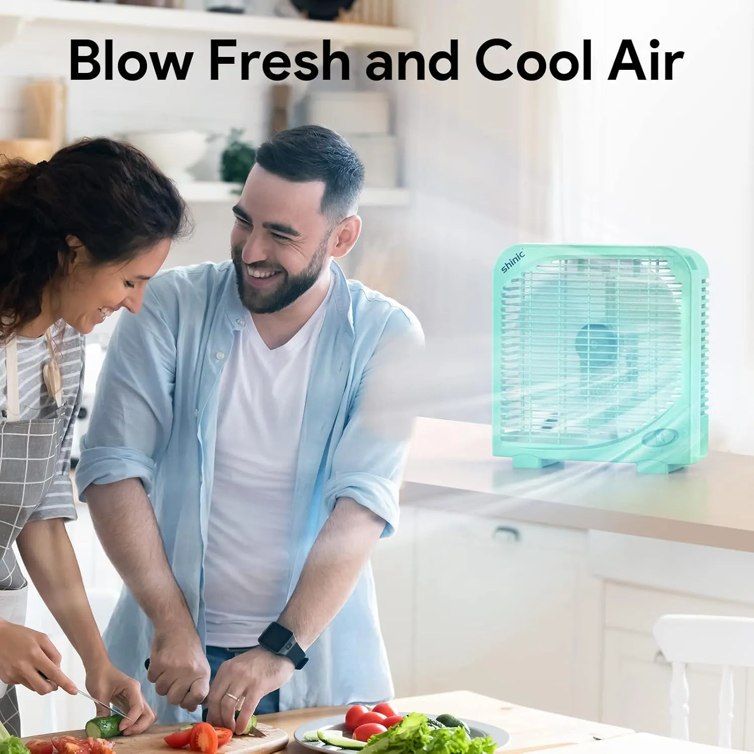 shinic 10" Tabletop Box Fan for Bedroom, 2 Speeds, Quiet Table Fan with Strong Airflow, Energy Efficient Small Box Fan, Portable Kitchen Exhaust Fan for Bedroom Bathroom Office Dorm Workshop, Green