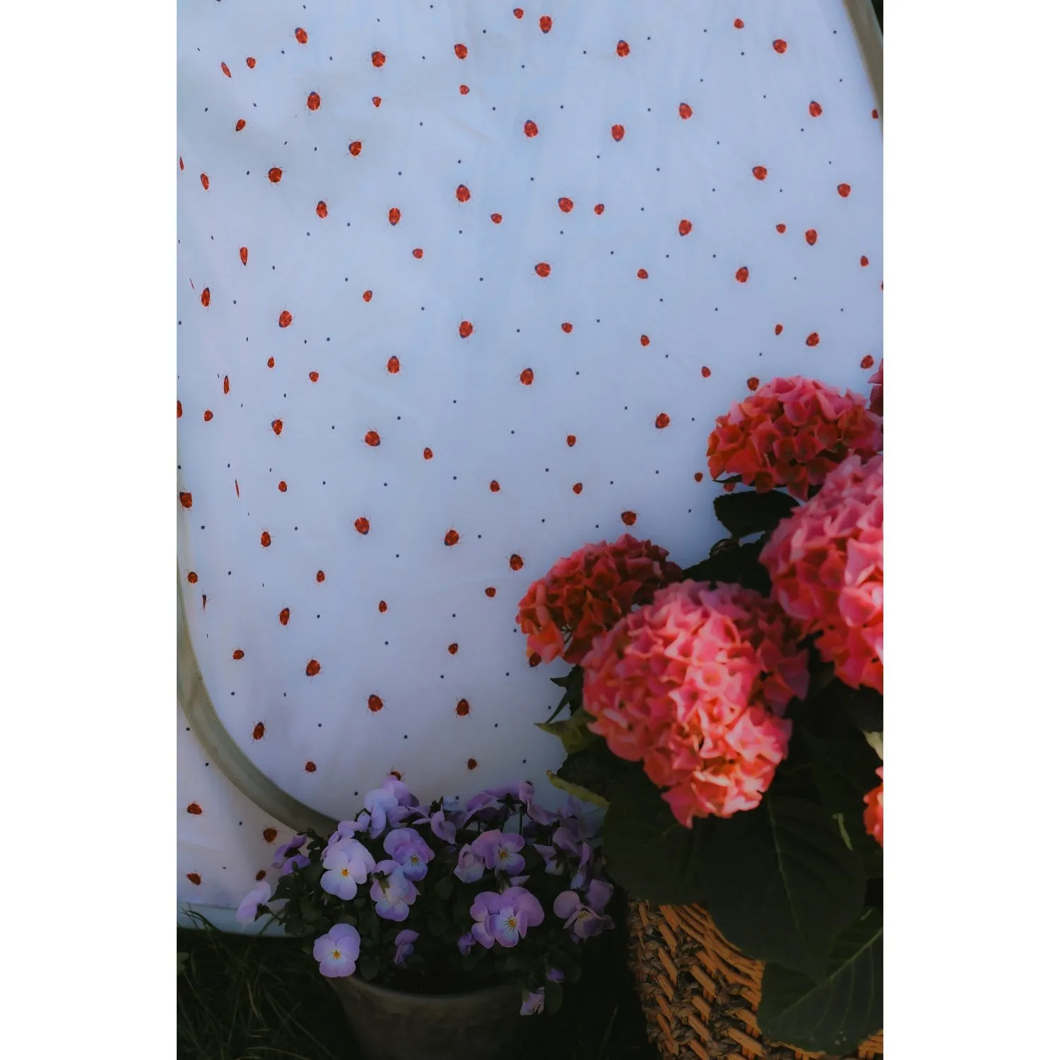 Vanilla COPENHAGEN English Rose - Lady Lovebug Pop-Up Tent Classic - UV50 