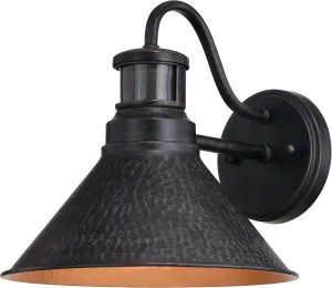 VAXCEL Outland Rustic Farmhouse Motion Sensor Dusk to Dawn Wall Light for Porch or Patio, Outdoor Gooseneck Wall Lantern with 180-Degree Motion Sensor, 10" W x 9.5" H x 11.75" D, Aged Black