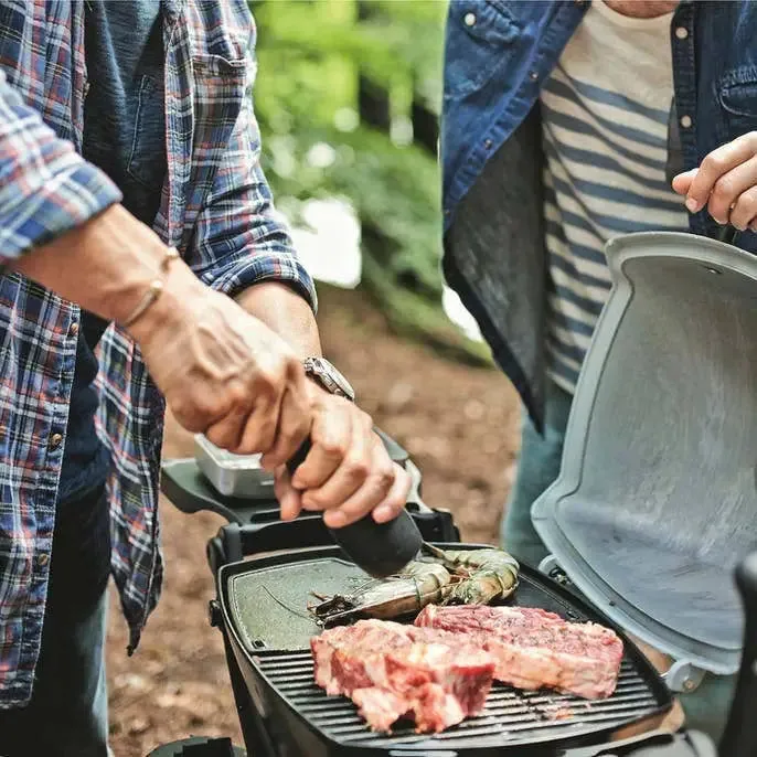 Weber Q 1200 Portable Gas Grill