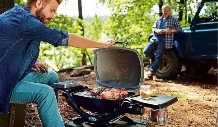 Weber Q 1200 Portable Gas Grill