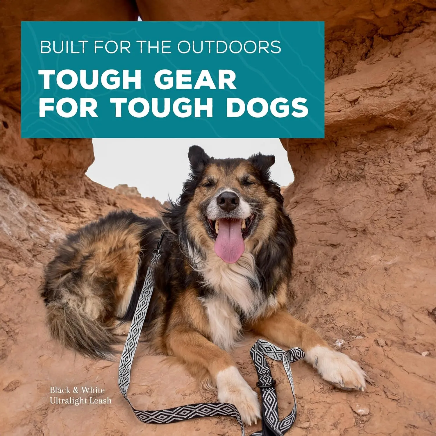 Wilderdog Ultralight Leash Series for Dogs 6 ft Long and Only 3.75 oz with swiveling, Locking Carabiner Attachment and Lightly Padded Handle with D-Ring - Daybreak