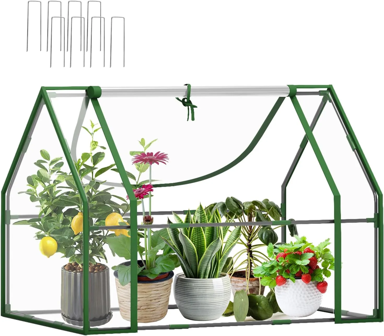 Wironlst Mini Greenhouse for Outdoors Indoor, Small Greenhouse with Innovative Dual Open Doors, Portable Garden Tent for Plants Protection (Transparent, 51"(L)*35.4(W)*35.4"(H))