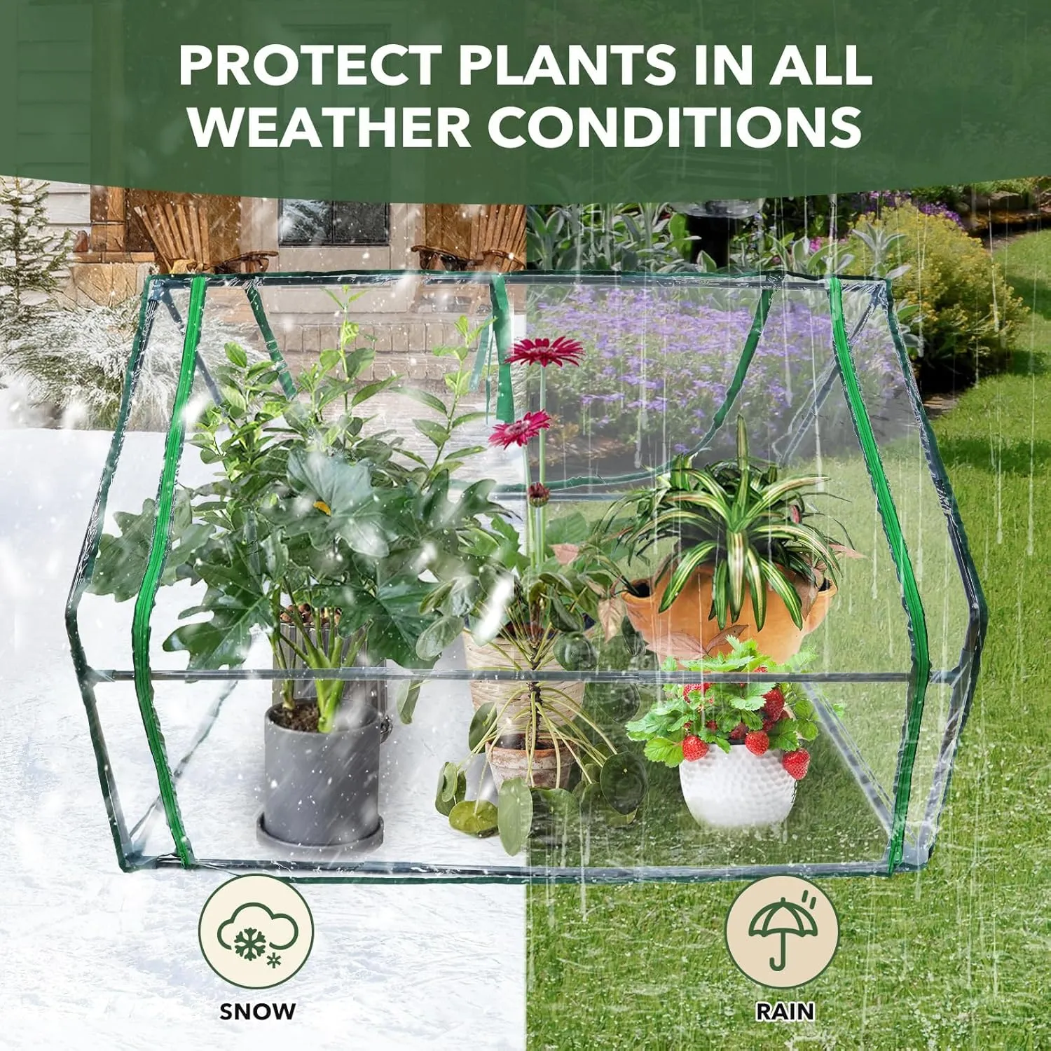 Wironlst Mini Greenhouse for Outdoors Indoor, Small Greenhouse with Innovative Dual Open Doors, Portable Garden Tent for Plants Protection (Transparent, 51"(L)*35.4(W)*35.4"(H))
